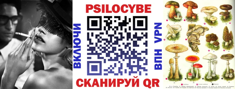 дарнет шоп  Раменское  Галлюциногенные грибы GOLDEN TEACHER 